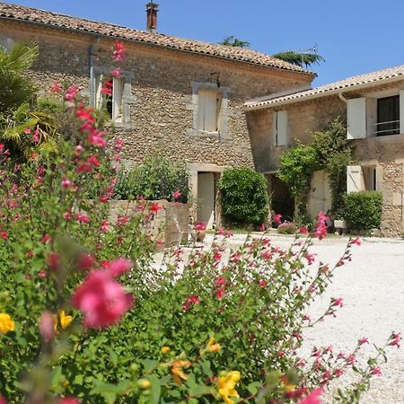 Gite Du Domaine Saint Jean De L'Arbousier Кастри Экстерьер фото