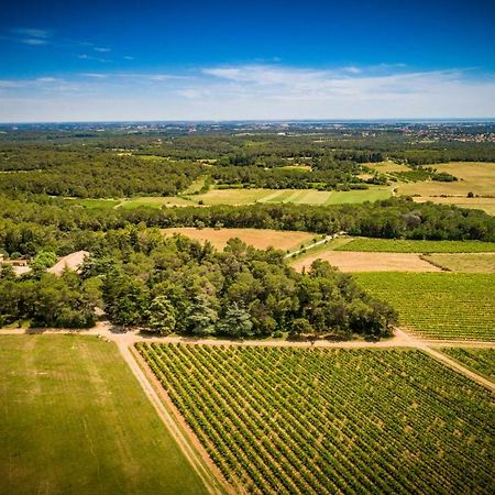 Gite Du Domaine Saint Jean De L'Arbousier Кастри Экстерьер фото